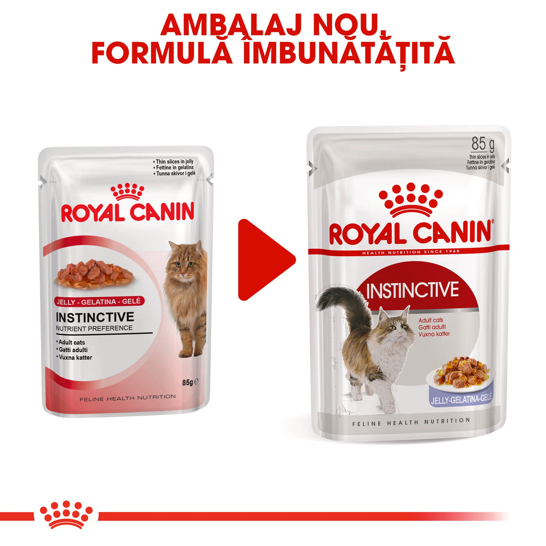 Royal Canin Instinctive Adult hrana umeda pisica (aspic), 12 x 85 g
