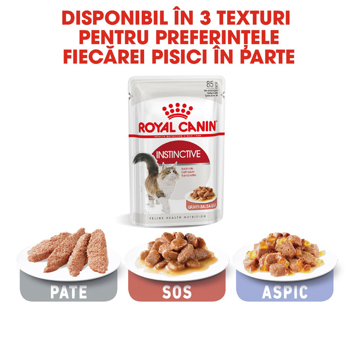Royal Canin Instinctive Adult hrana umeda pisica (in sos), 12 x 85 g