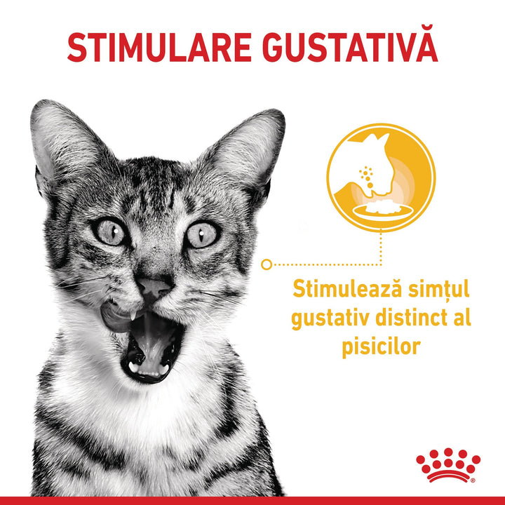 Royal Canin Sensory Taste, hrana umeda pisici, stimularea gustului (in sos), 12 x 85 g