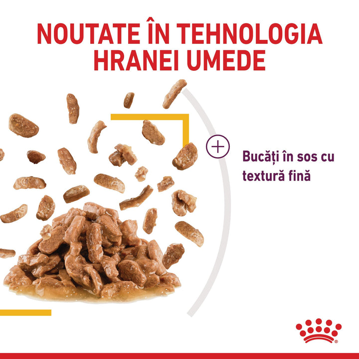 Royal Canin Sensory Taste, hrana umeda pisici, stimularea gustului (in sos), 12 x 85 g