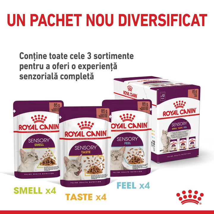 Royal Canin Sensory Taste, hrana umeda pisici, stimularea gustului (in sos), 12 x 85 g