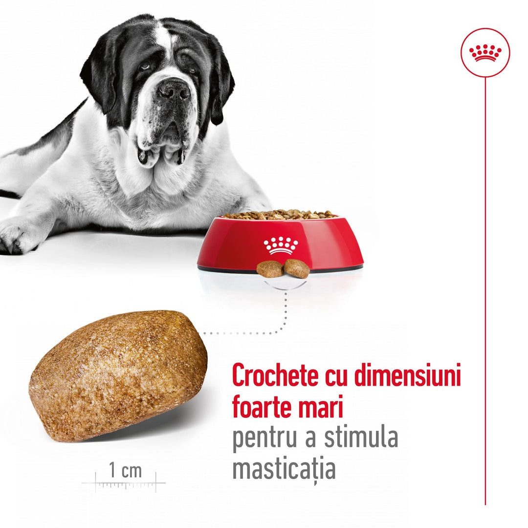 Royal Canin Giant Adult hrana uscata caine, 15 kg