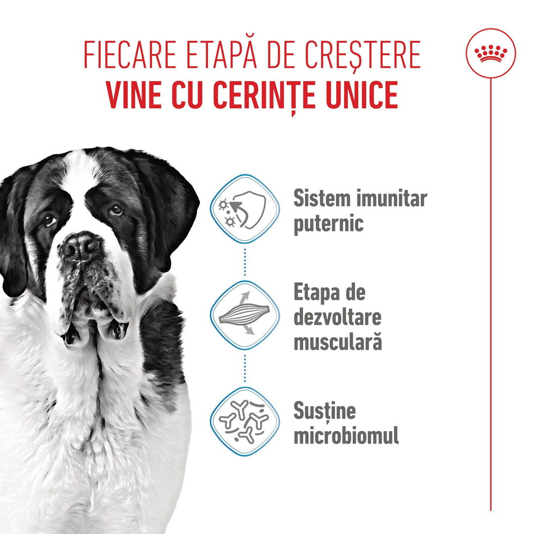 Royal Canin Giant Junior hrana uscata caine junior etapa 2 de crestere , 15 kg