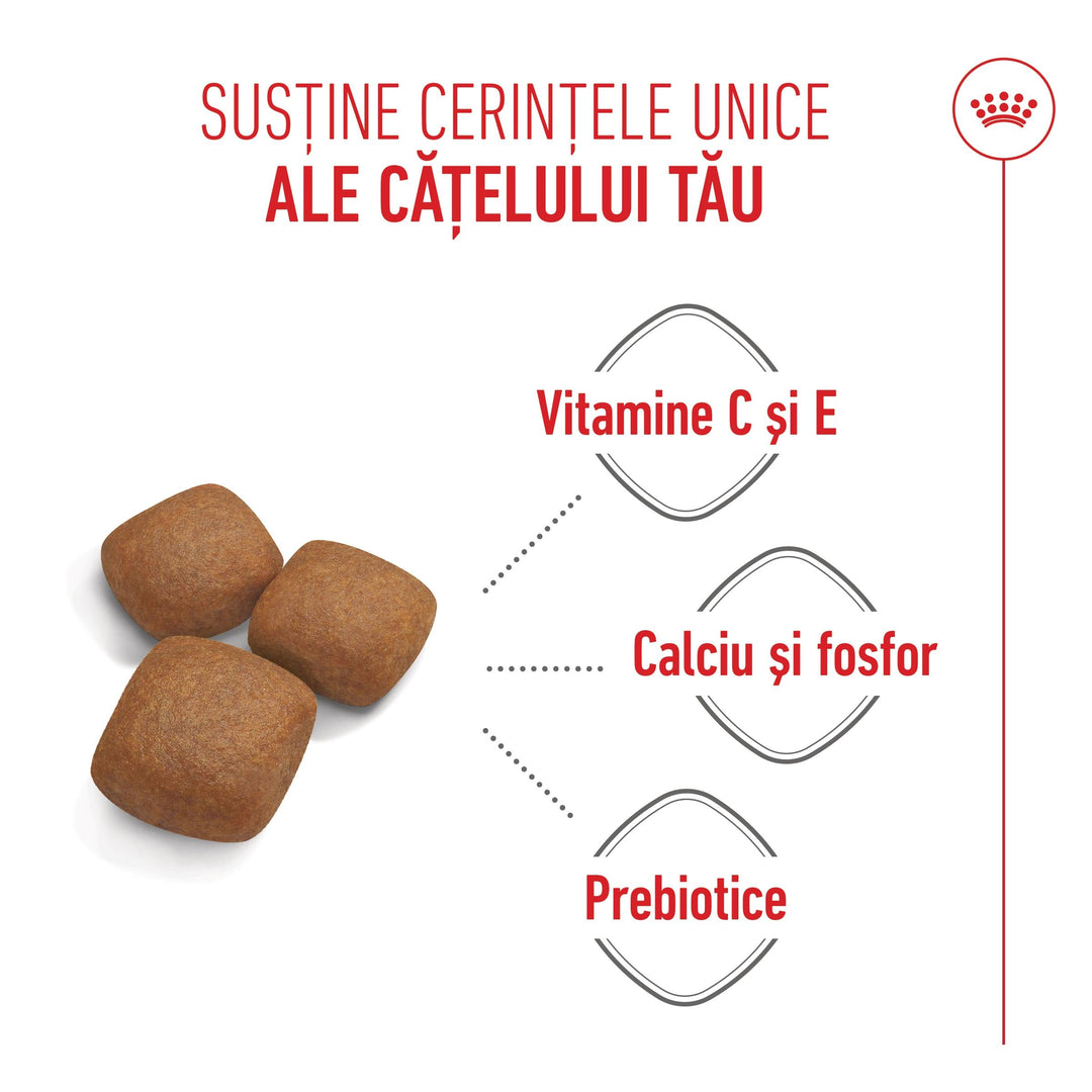 Royal Canin Giant Junior hrana uscata caine junior etapa 2 de crestere , 3.5 kg