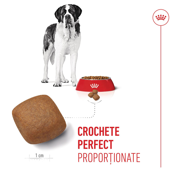 Royal Canin Giant Junior hrana uscata caine junior etapa 2 de crestere , 3.5 kg