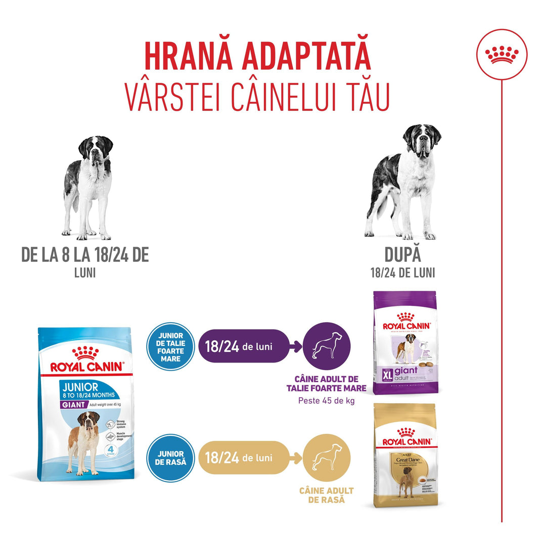 Hrana Uscata Caini Royal Canin 252680 | Giant Junior, 3.5kg