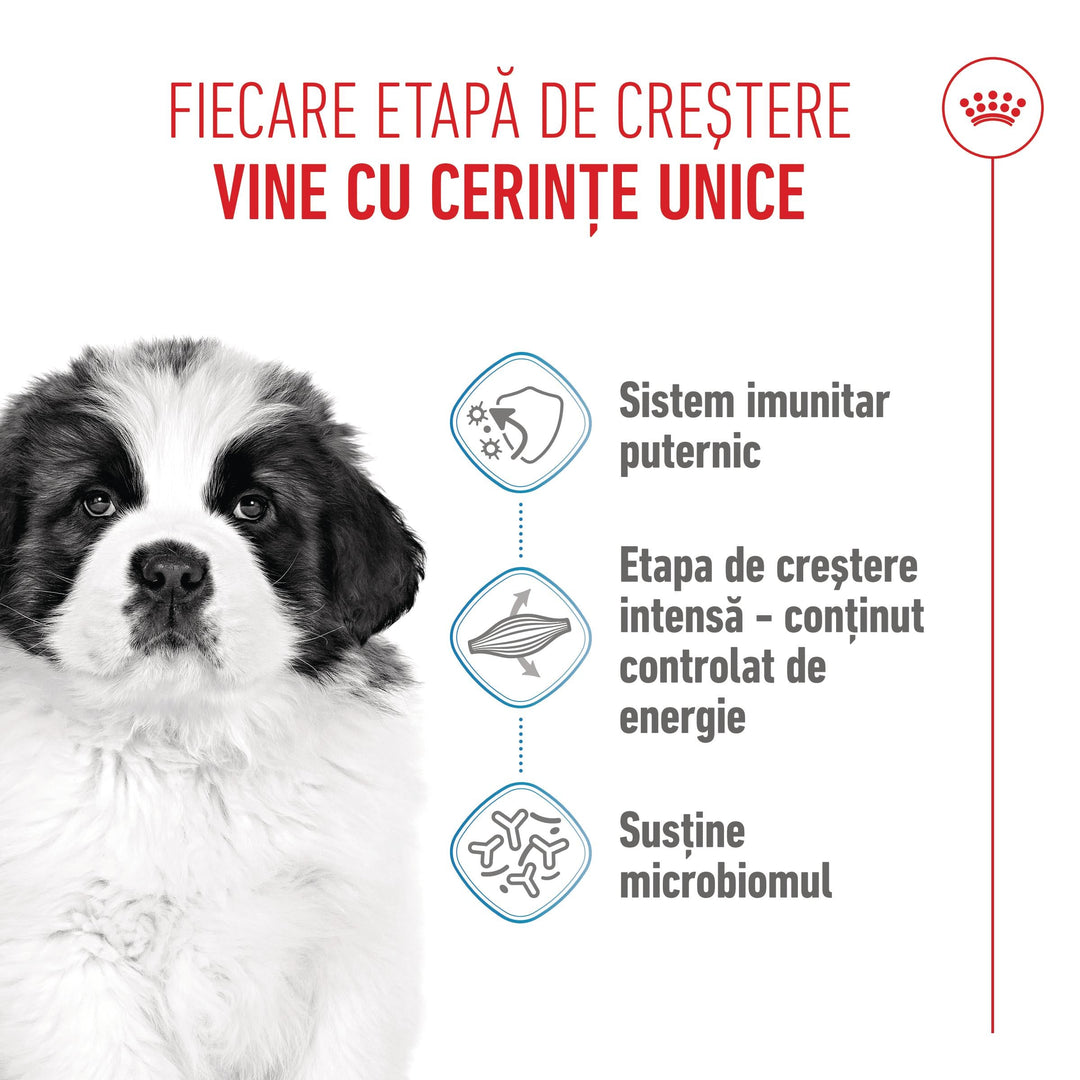 Royal Canin Giant Puppy hrana uscata caine junior etapa 1 de crestere, 1 kg