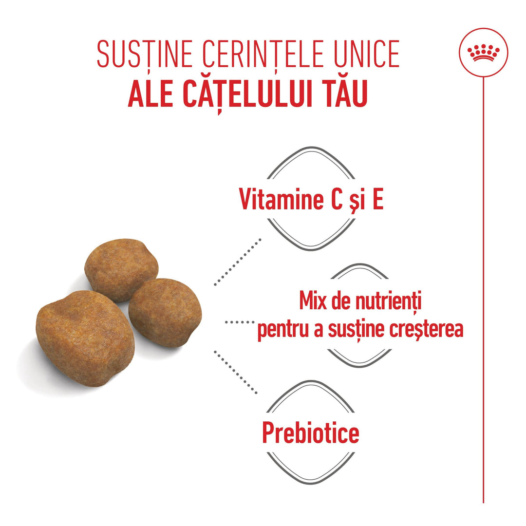 Royal Canin Giant Puppy hrana uscata caine junior etapa 1 de crestere , 15 kg