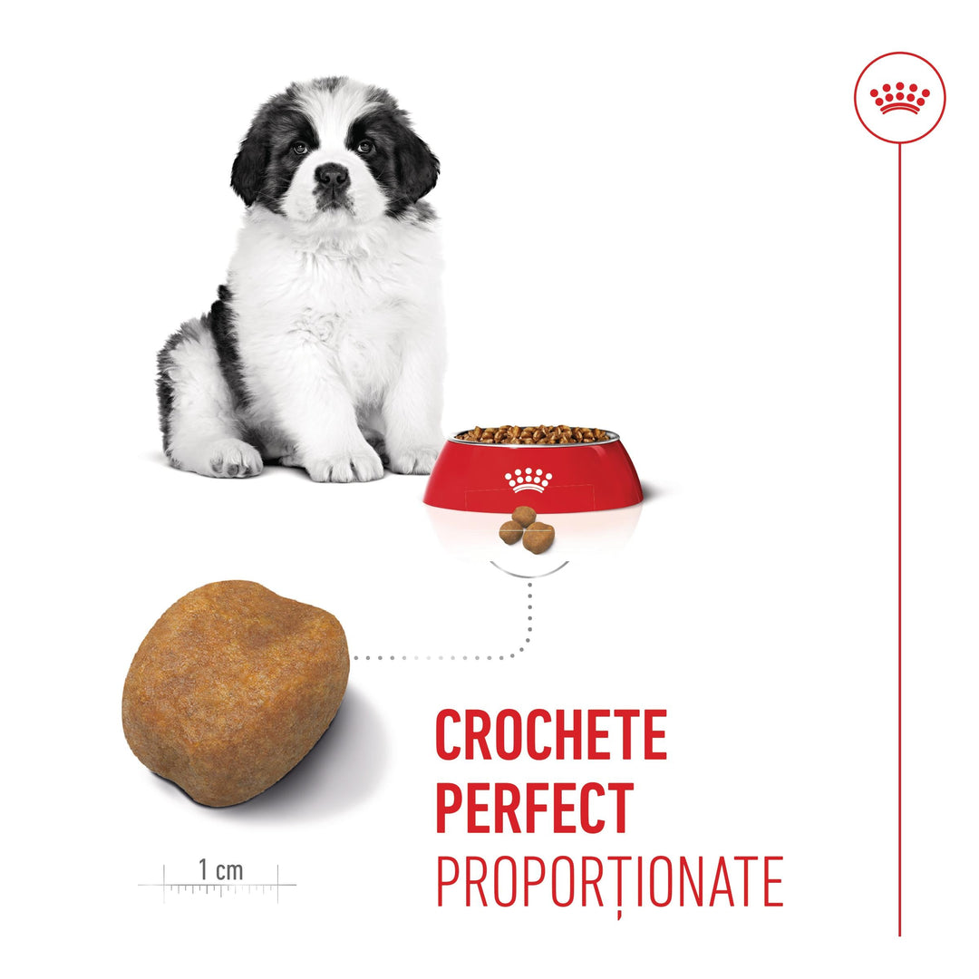 Royal Canin Giant Puppy hrana uscata caine junior etapa 1 de crestere, 3.5 kg