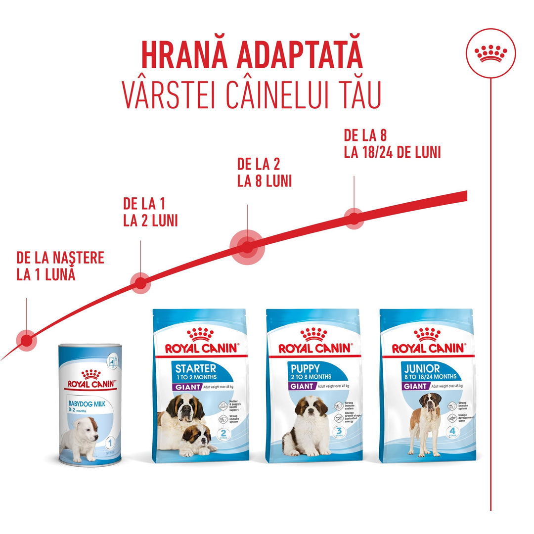 Hrana Uscata Caini Royal Canin 252170 | Giant, Puppy, 3.5kg