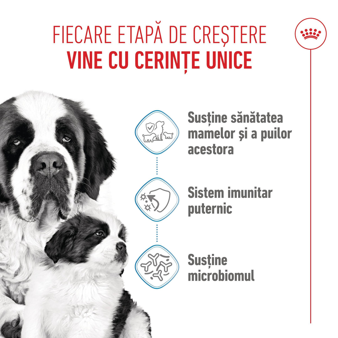 Royal Canin Giant Starter Mother &amp; Babydog, mama si puiul, hrana uscata caine, 15 kg