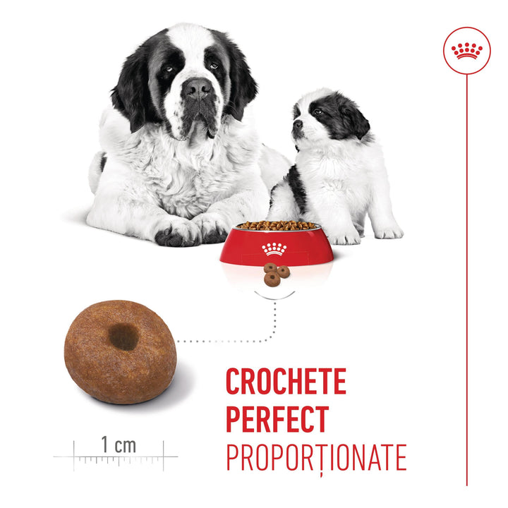 Royal Canin Giant Starter Mother &amp; Babydog, mama si puiul, hrana uscata caine, 15 kg