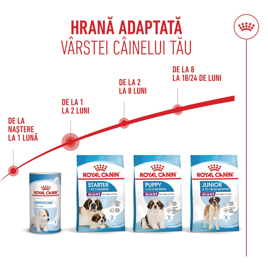 Hrana Uscata Caini Royal Canin 306890 | Giant, Starter, 15kg