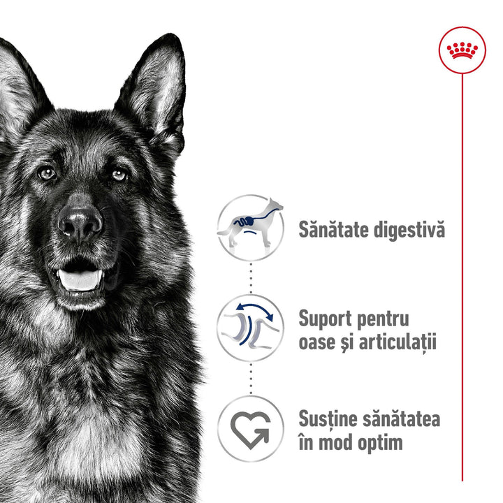 Royal Canin Maxi Adult hrana uscata caine, 3 kg