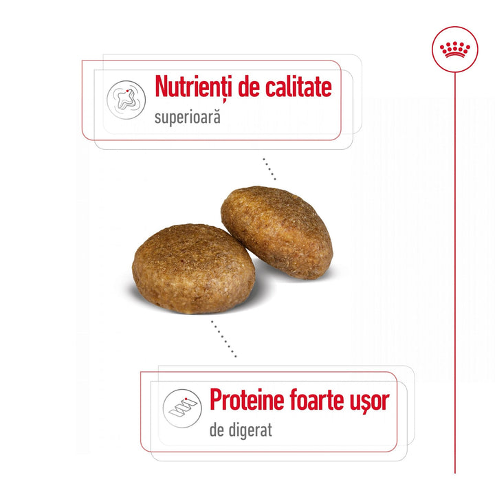 Royal Canin Maxi Adult hrana uscata caine, 3 kg