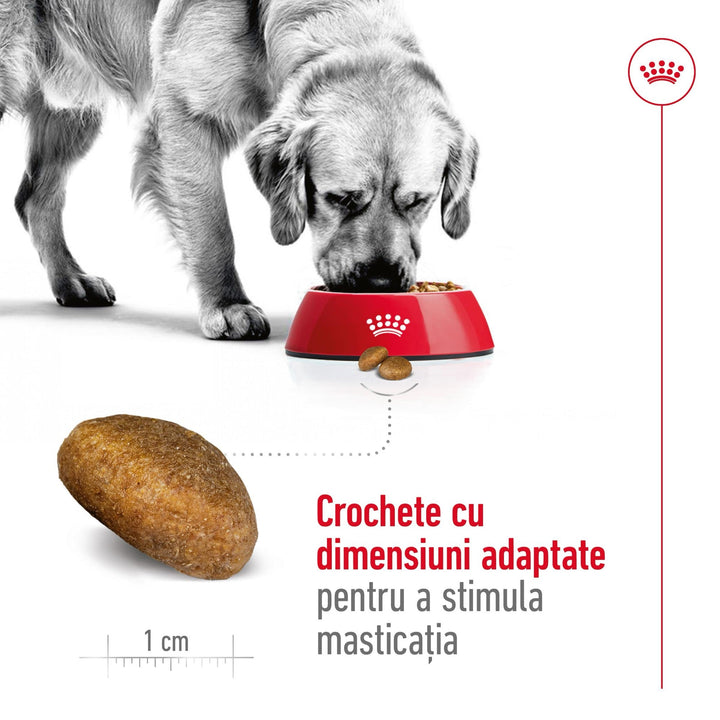 Royal Canin Maxi Adult hrana uscata caine, 12 kg
