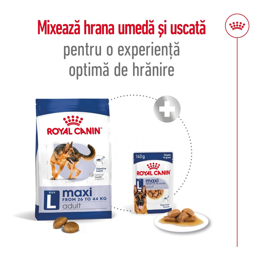 Royal Canin Maxi Adult hrana uscata caine, 12 kg