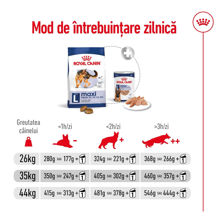 Royal Canin Maxi Adult hrana uscata caine, 12 kg