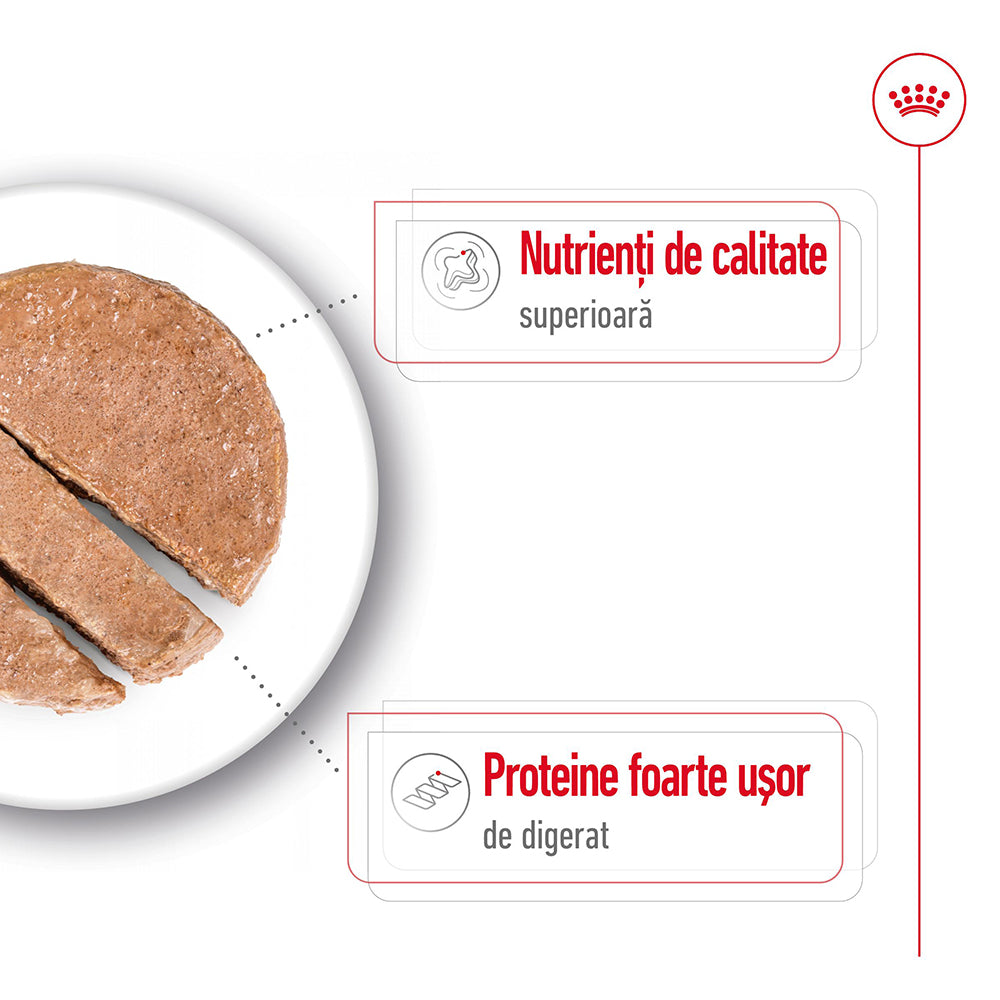 Royal Canin Maxi Adult hrana umeda caine (pate), 410 g