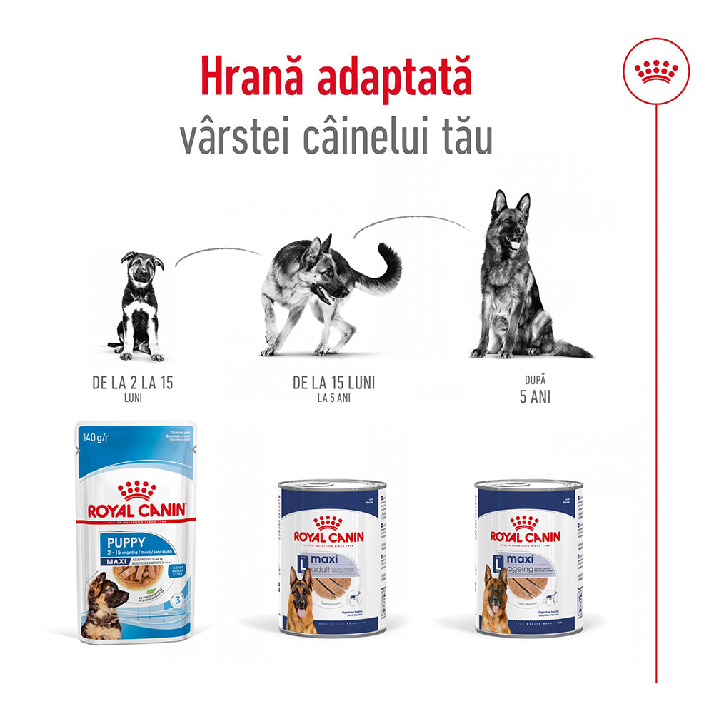 Royal Canin Maxi Adult hrana umeda caine (pate), 410 g