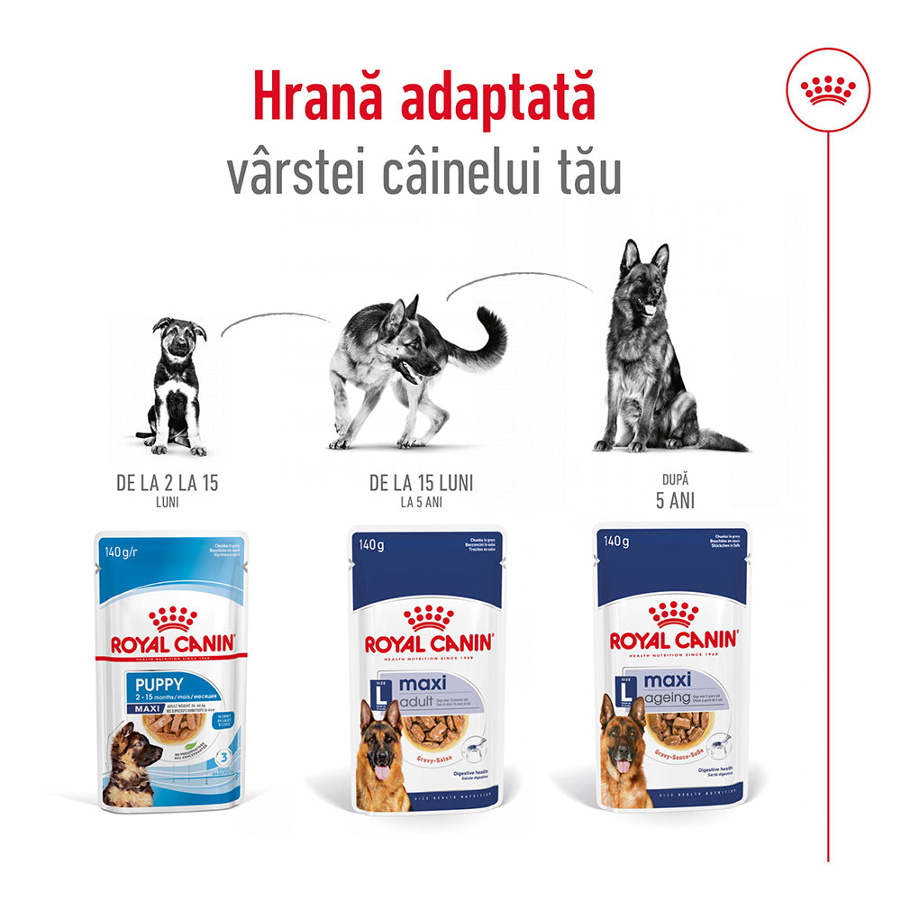 Royal Canin Maxi Adult hrana umeda caine (in sos), 10 x 140 g