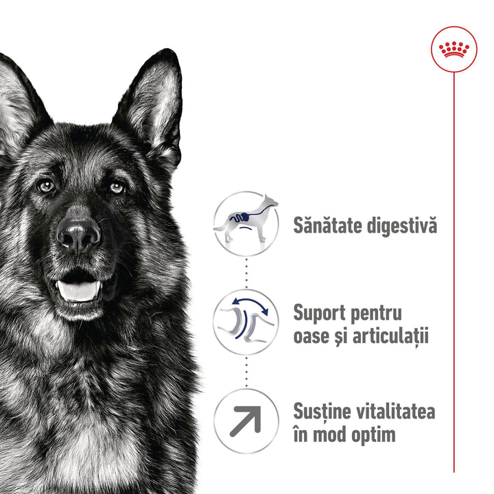 Royal Canin Maxi Adult 5+ hrana uscata caine, 4 kg