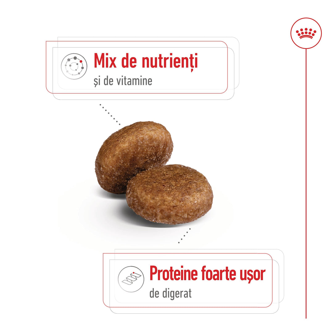 Royal Canin Maxi Adult 5+ hrana uscata caine, 4 kg