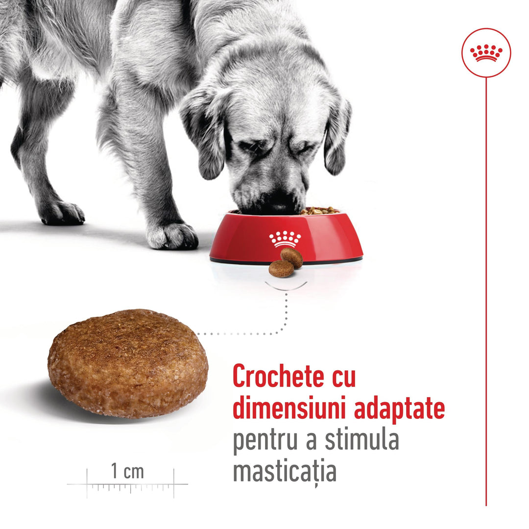 Royal Canin Maxi Adult 5+ hrana uscata caine, 4 kg