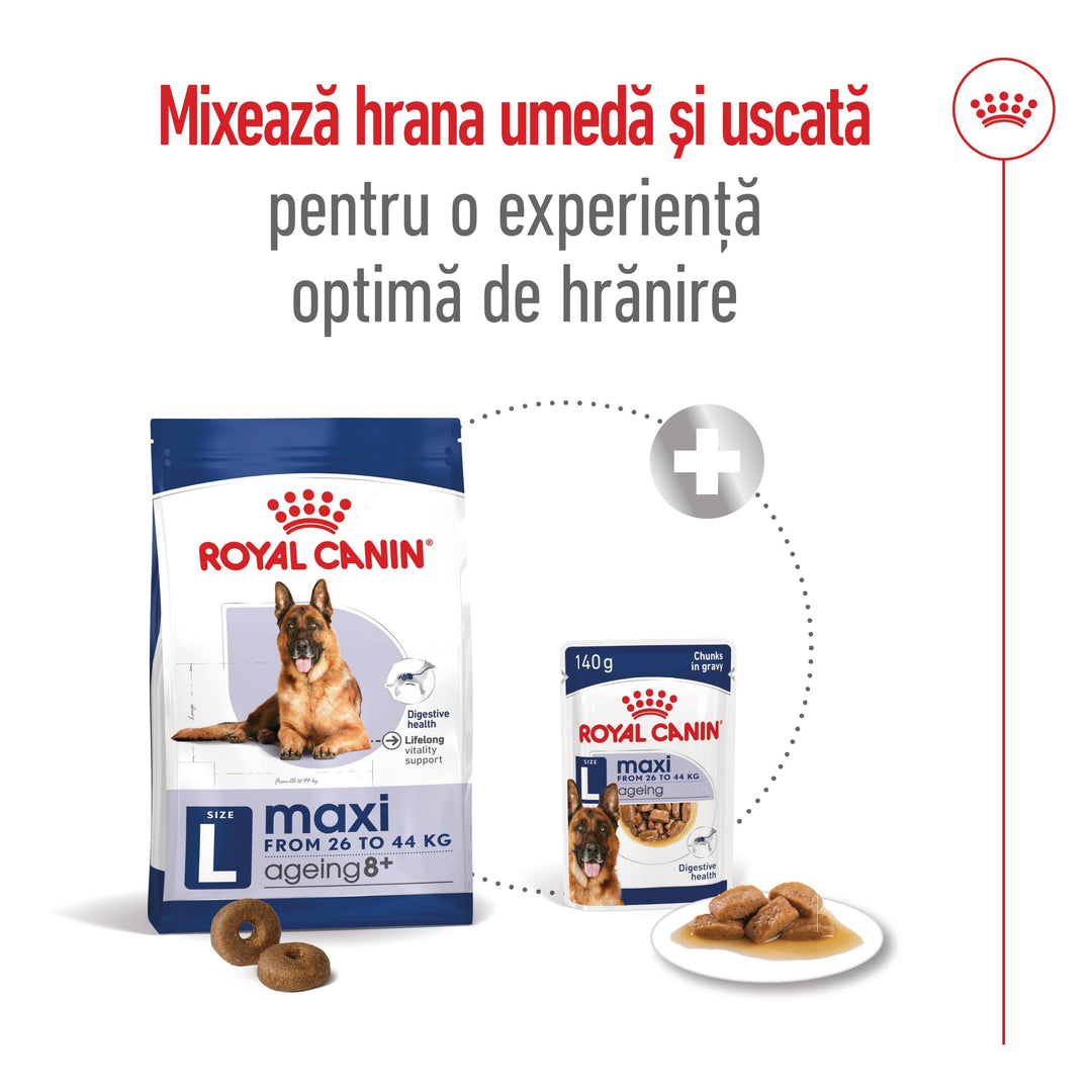 Royal Canin Maxi Ageing 8+ hrana uscata caine senior, 15 kg