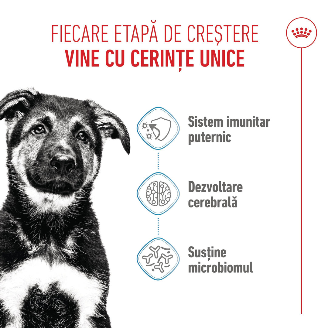 Royal Canin Maxi Puppy hrana uscata caine junior, 1 kg