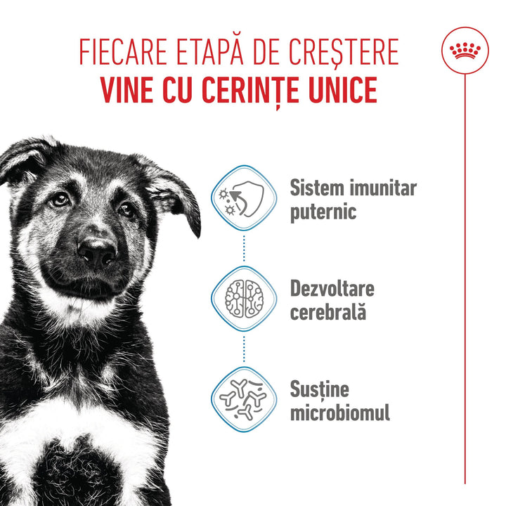 Royal Canin Maxi Puppy hrana uscata caine junior, 1 kg