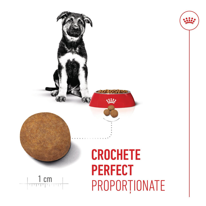 Royal Canin Maxi Puppy hrana uscata caine junior, 12 kg