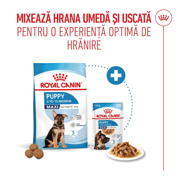 Royal Canin Maxi Puppy hrana uscata caine junior, 12 kg