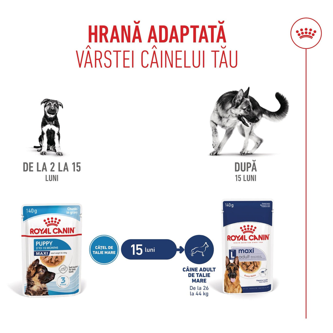 Royal Canin Maxi Puppy hrana umeda caine junior (in sos), 10 x 140 g