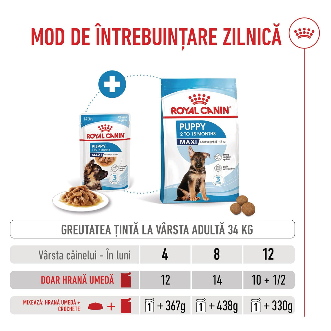 Royal Canin Maxi Puppy hrana umeda caine junior (in sos), 10 x 140 g