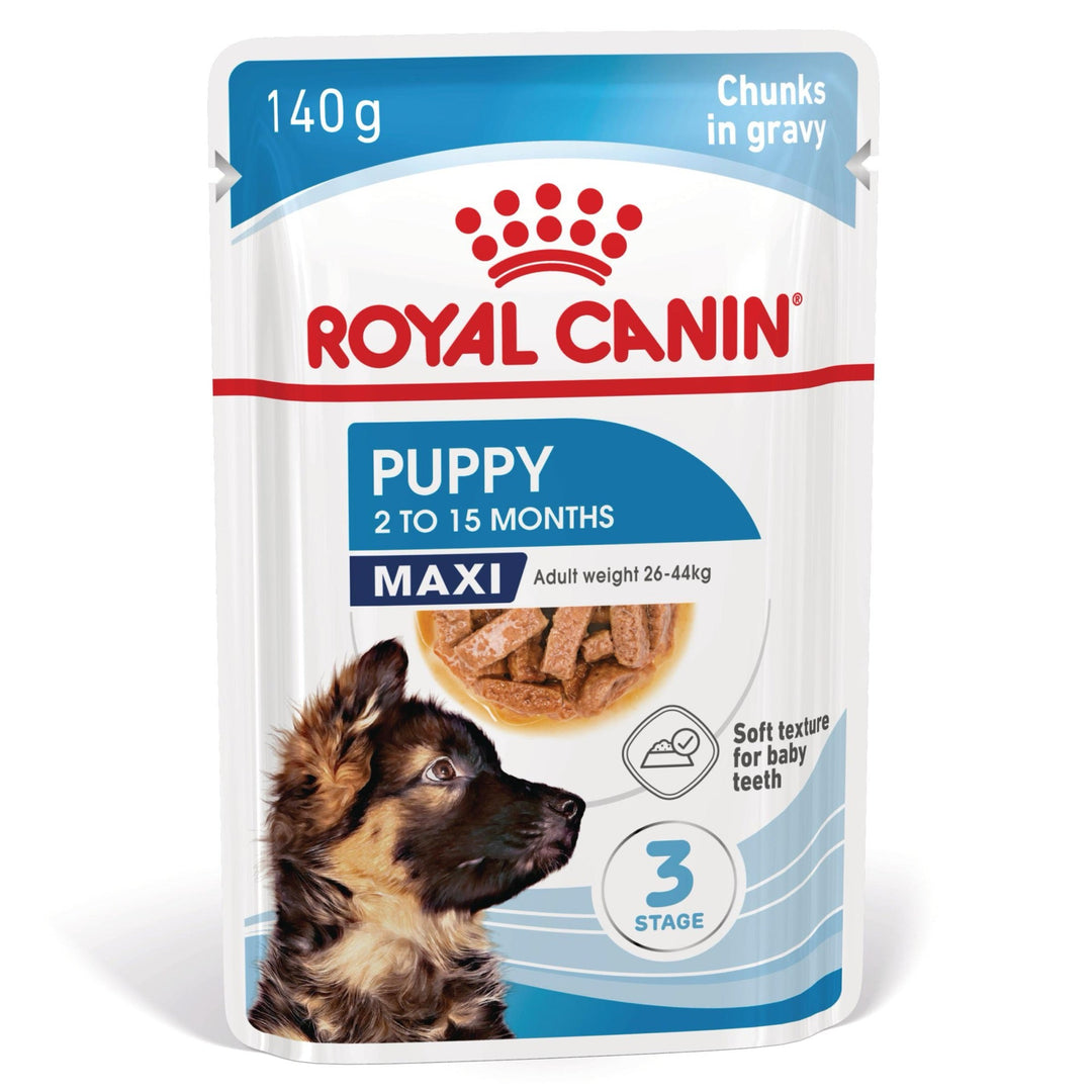 Royal Canin Maxi Puppy hrana umeda caine junior (in sos), 10 x 140 g