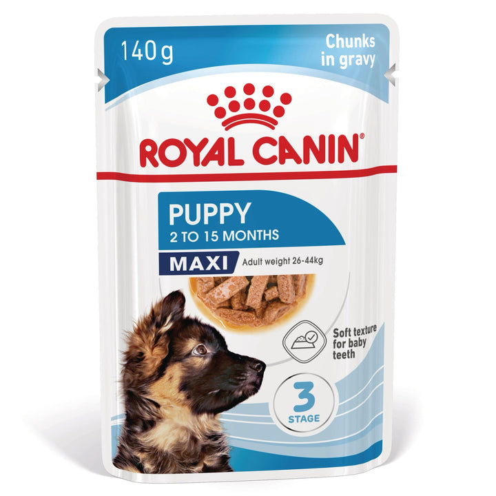 Royal Canin Maxi Puppy hrana umeda caine junior (in sos), 10 x 140 g