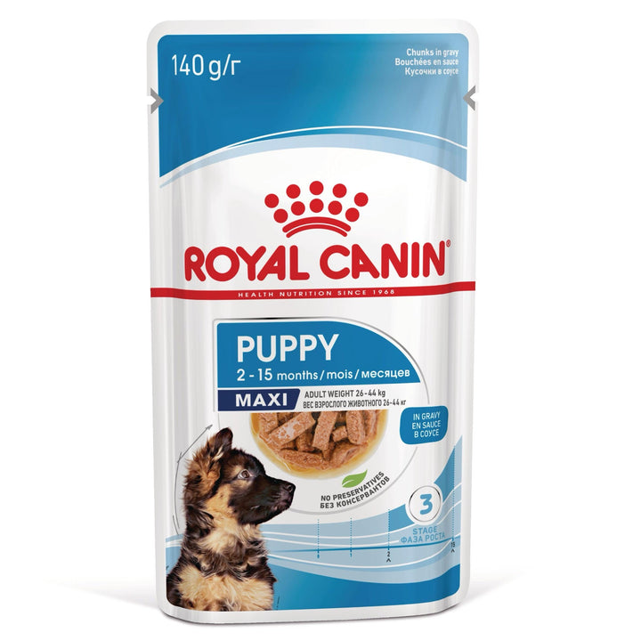 Royal Canin Maxi Puppy hrana umeda caine junior (in sos), 10 x 140 g