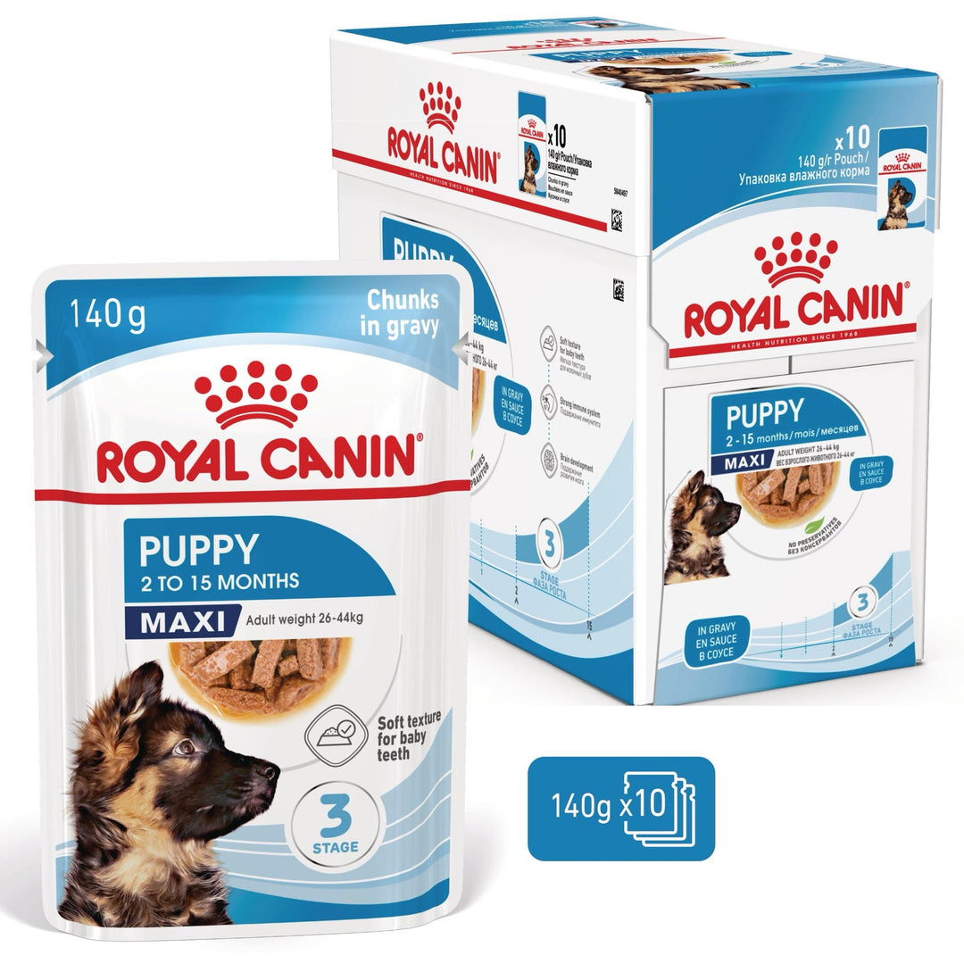 Royal Canin Maxi Puppy hrana umeda caine junior (in sos), 10 x 140 g