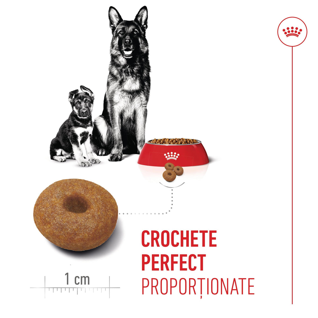 Royal Canin Maxi Starter Mother &amp; Babydog, mama si puiul, hrana uscata caine, 4 kg