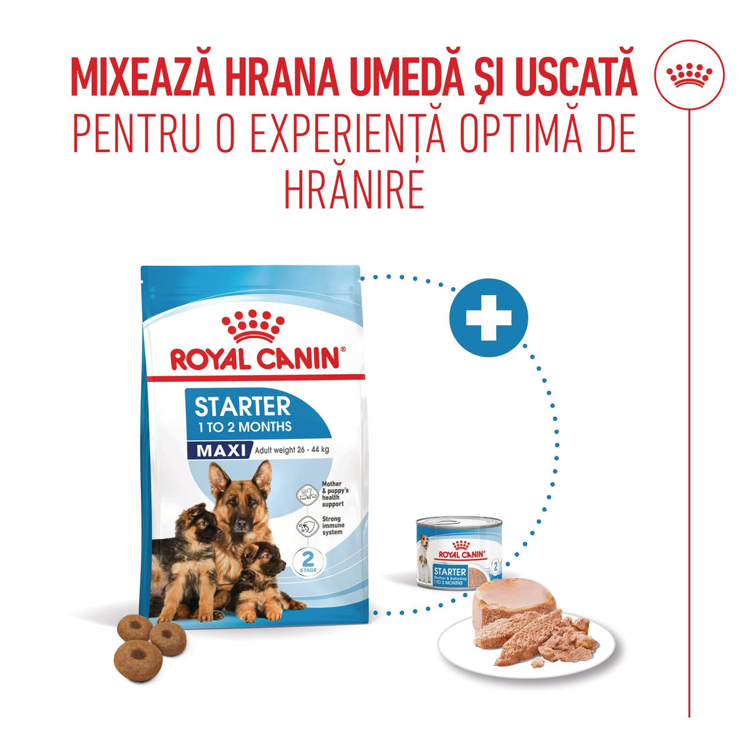 Hrana Uscata Caini Royal Canin 252990 | Maxi, Starter, 4kg