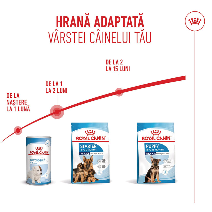 Hrana Uscata Caini Royal Canin 252990 | Maxi, Starter, 4kg