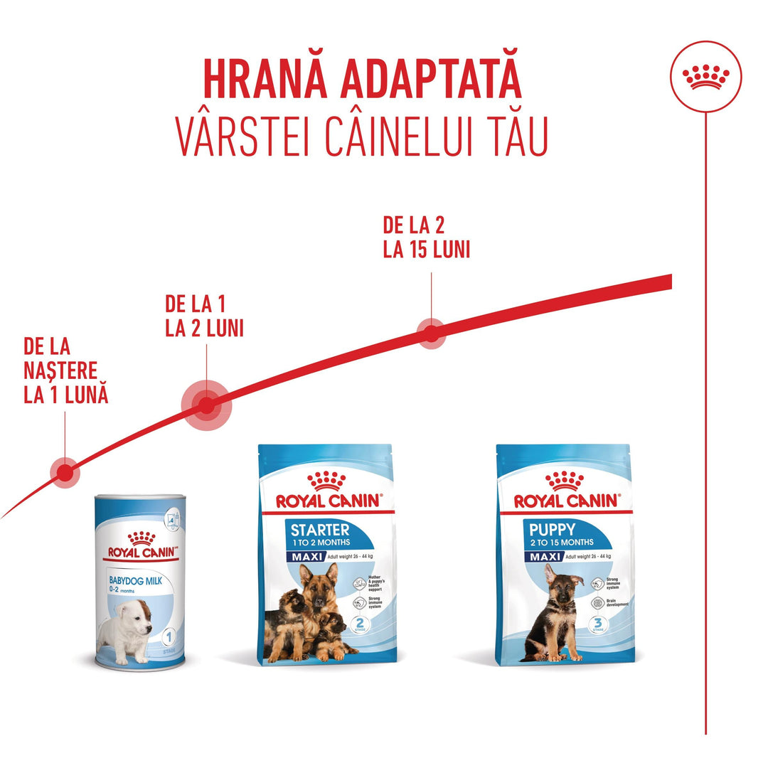 Hrana Uscata Caini Royal Canin 253000 | Maxi, Starter, 15kg