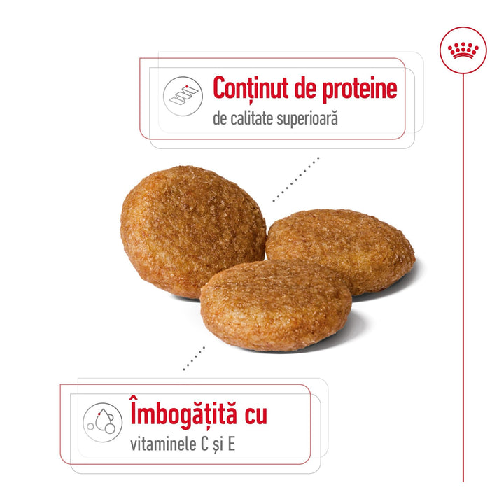Royal Canin Medium Adult hrana uscata caine, 15 kg