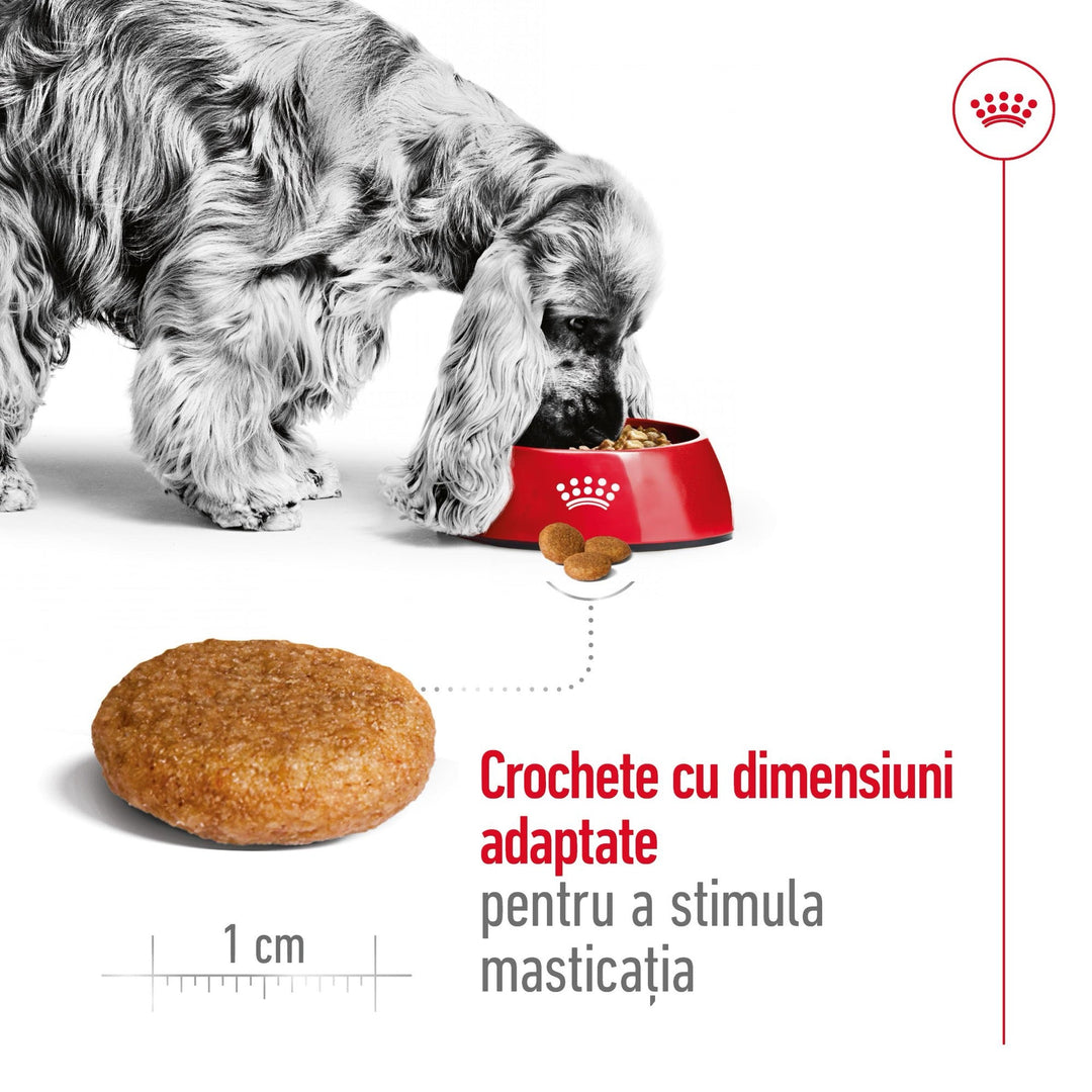 Royal Canin Medium Adult hrana uscata caine, 12 kg