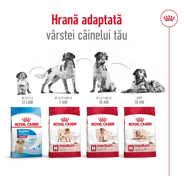 Royal Canin Medium Adult hrana uscata caine, 12 kg