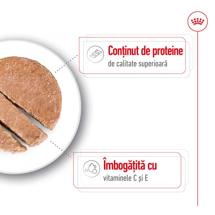 Royal Canin Medium Adult hrana umeda caine (pate), 410 g