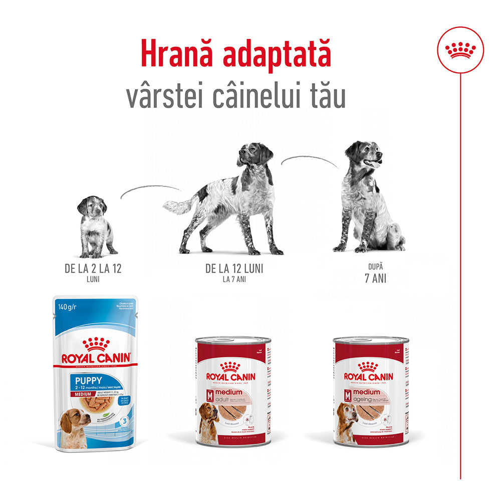 Royal Canin Medium Adult hrana umeda caine (pate), 410 g