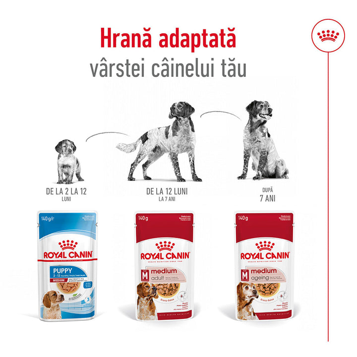Royal Canin Medium Adult hrana umeda caine (in sos), 10 x 140 g