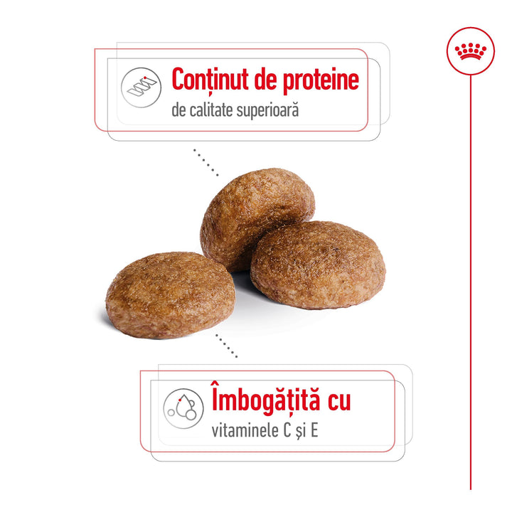 Royal Canin Medium Adult 7+ hrana uscata caine, 4 kg